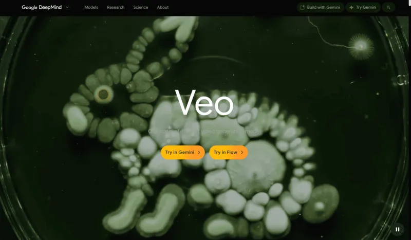Captura de Veo